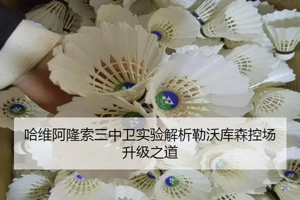 哈维阿隆索三中卫实验解析勒沃库森控场升级之道