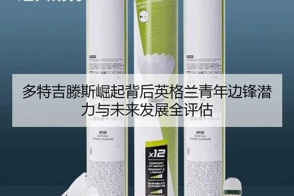 多特吉滕斯崛起背后英格兰青年边锋潜力与未来发展全评估