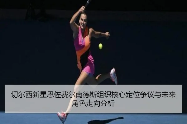 切尔西新星恩佐费尔南德斯组织核心定位争议与未来角色走向分析